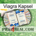 Viagra Capsule kamagra1